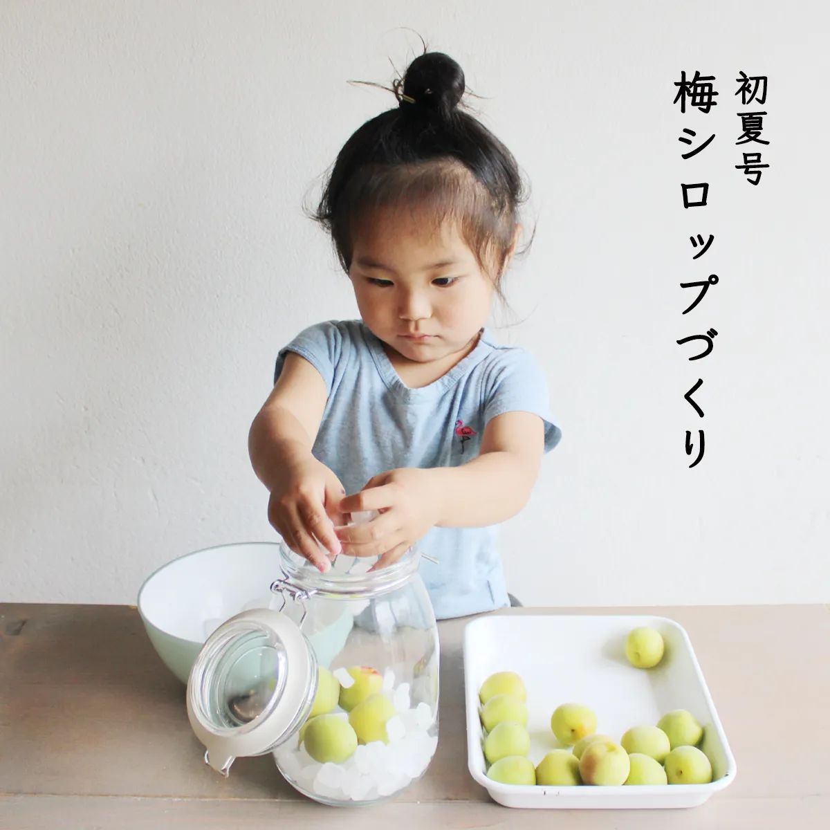初夏号『梅シロップづくり』の教材