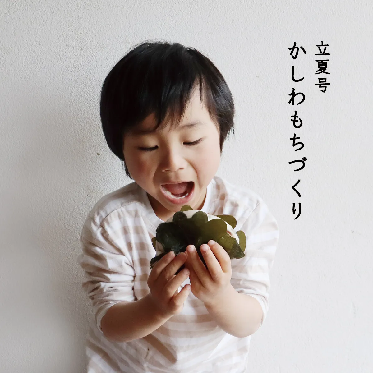 立夏号『かしわもちづくり』の教材