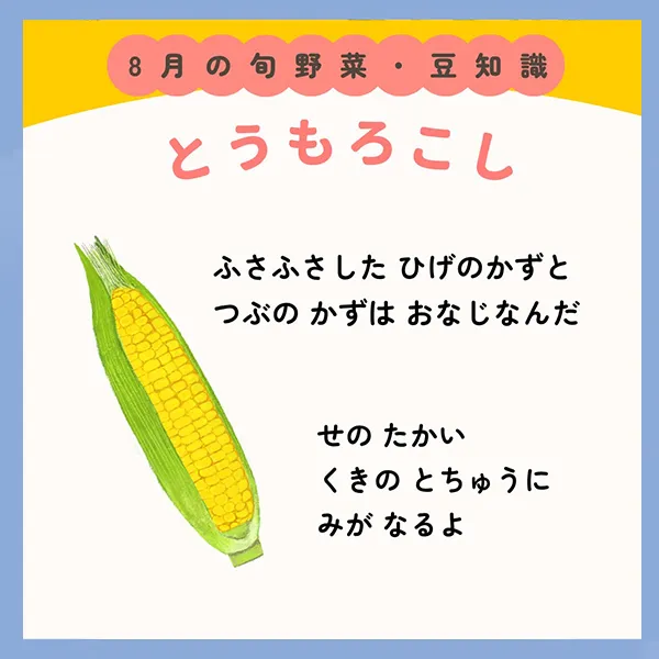 旬の野菜や果物