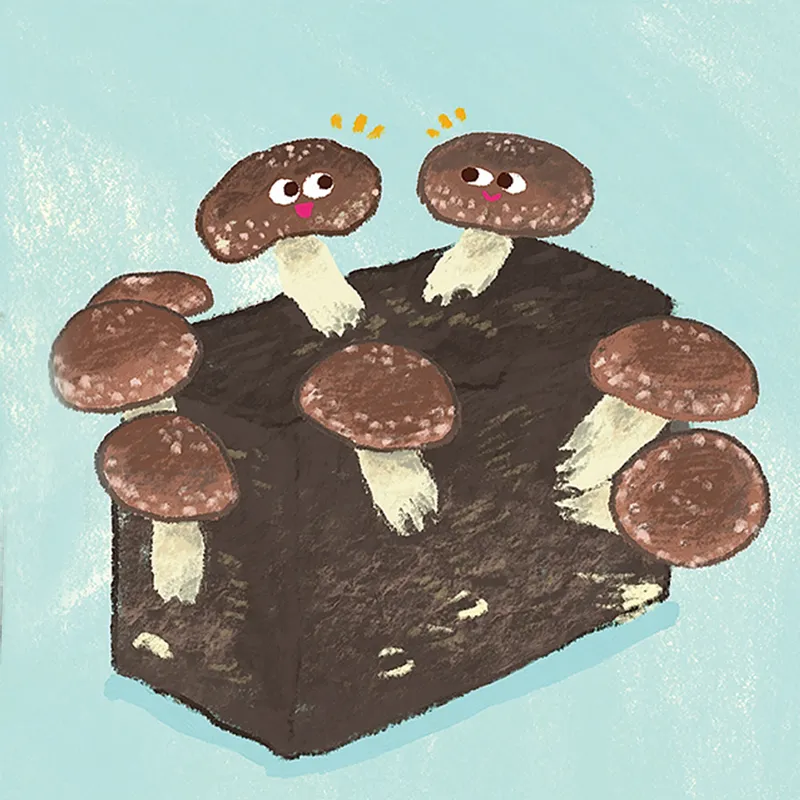 菌床から生えるしいたけのイラスト