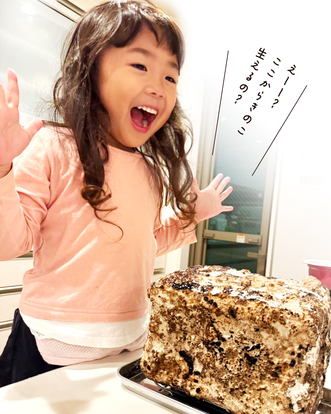 「えーー？ここからきのこ生えるの？」と驚くこども
