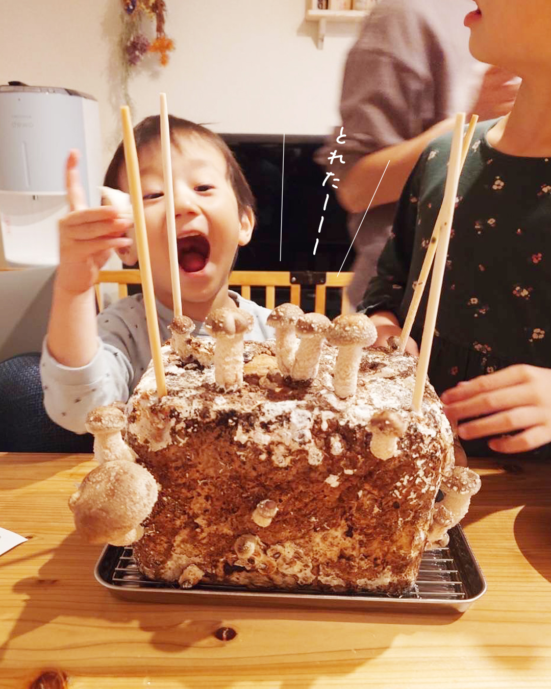 「とれたー！」と収穫を喜ぶこども
