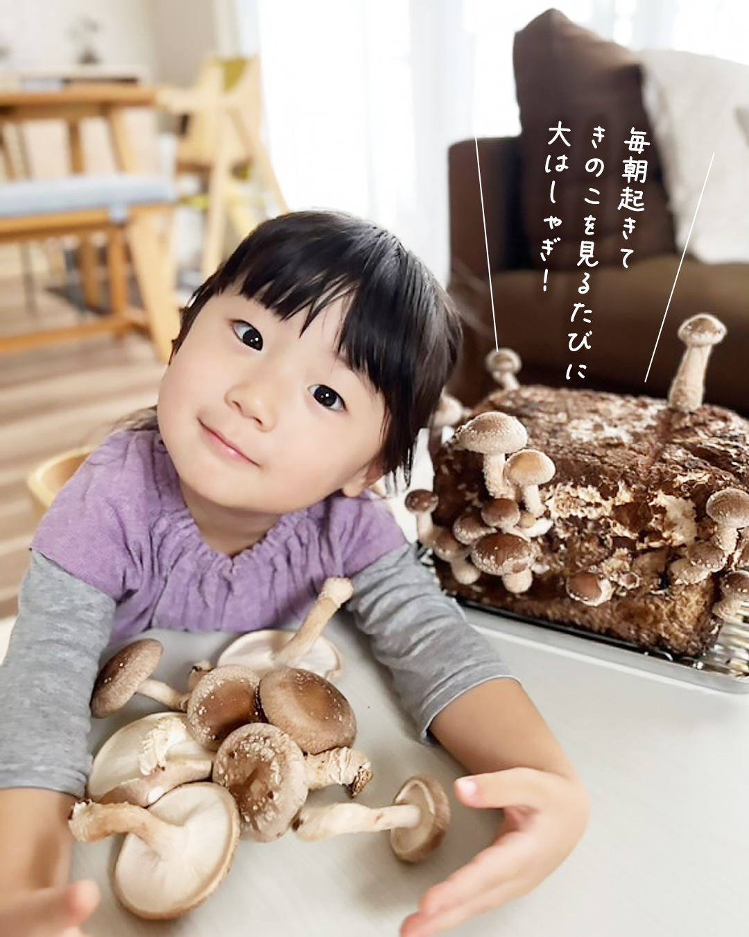毎朝きのこを見るたびに大はしゃぎのこども