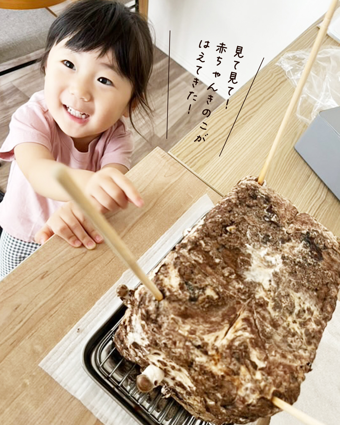 「見て見て！赤ちゃんきのこがはえてきた！」と指さすこども