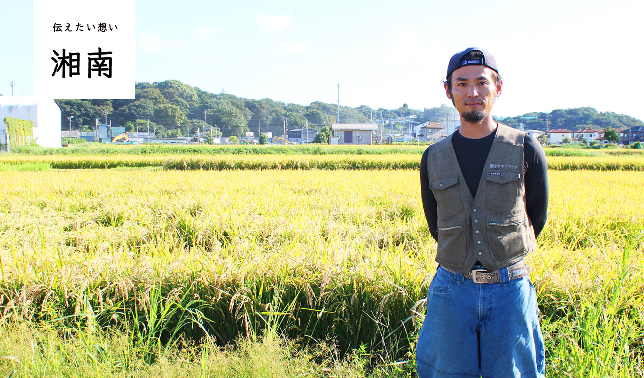 GAYAMA FARMさんの田んぼ