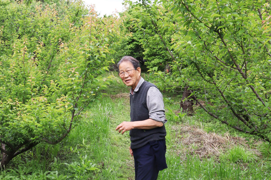 梅園に立つあすなろファームの上島さん