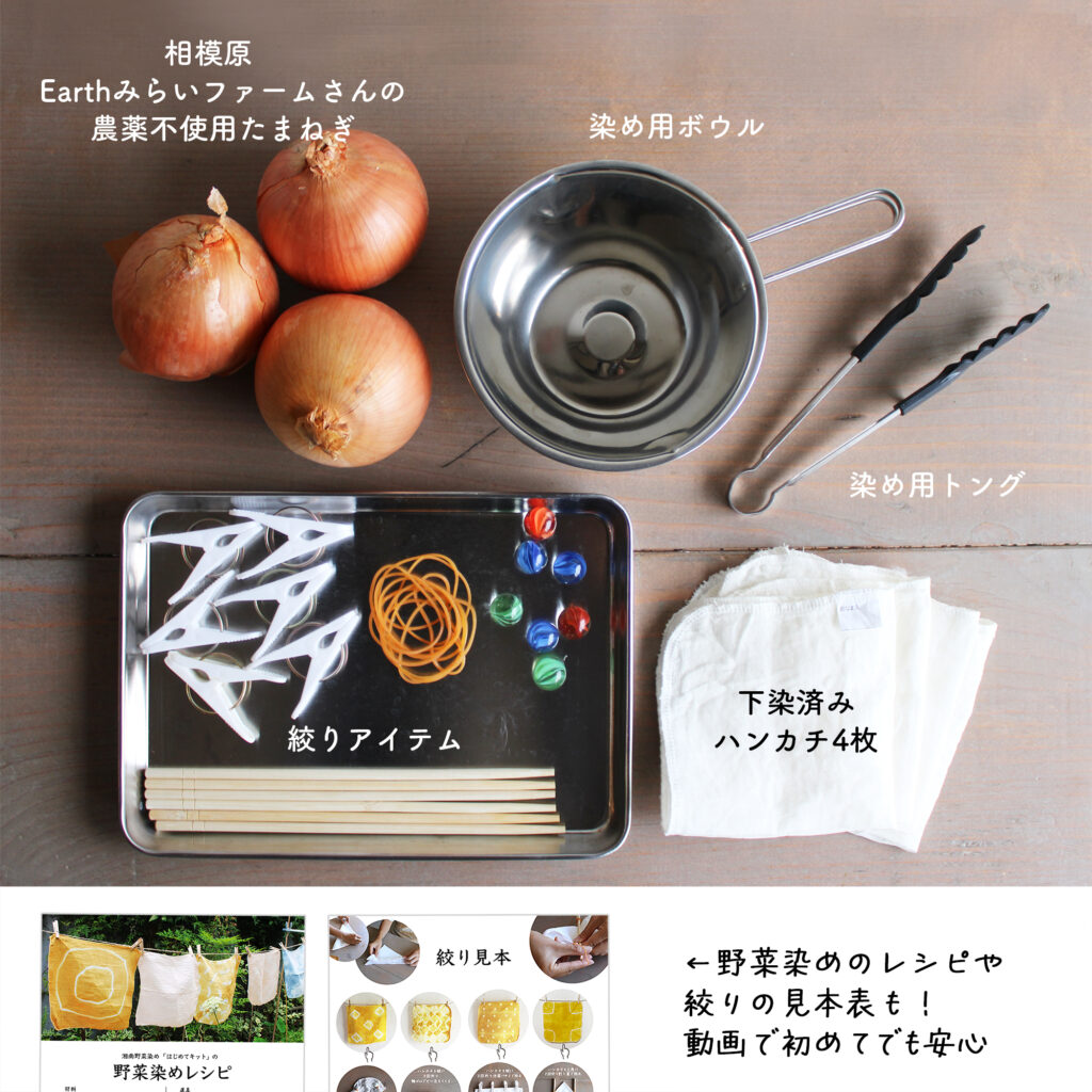 湘南たべまな便 夏休み特別企画 野菜染めkit詳細