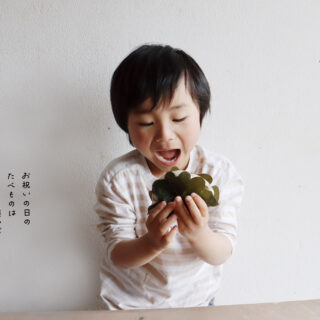 かしわもちページ 立夏号 かしわもちづくり 教材詳細｜湘南たべまな便｜食べて、学ぼう
