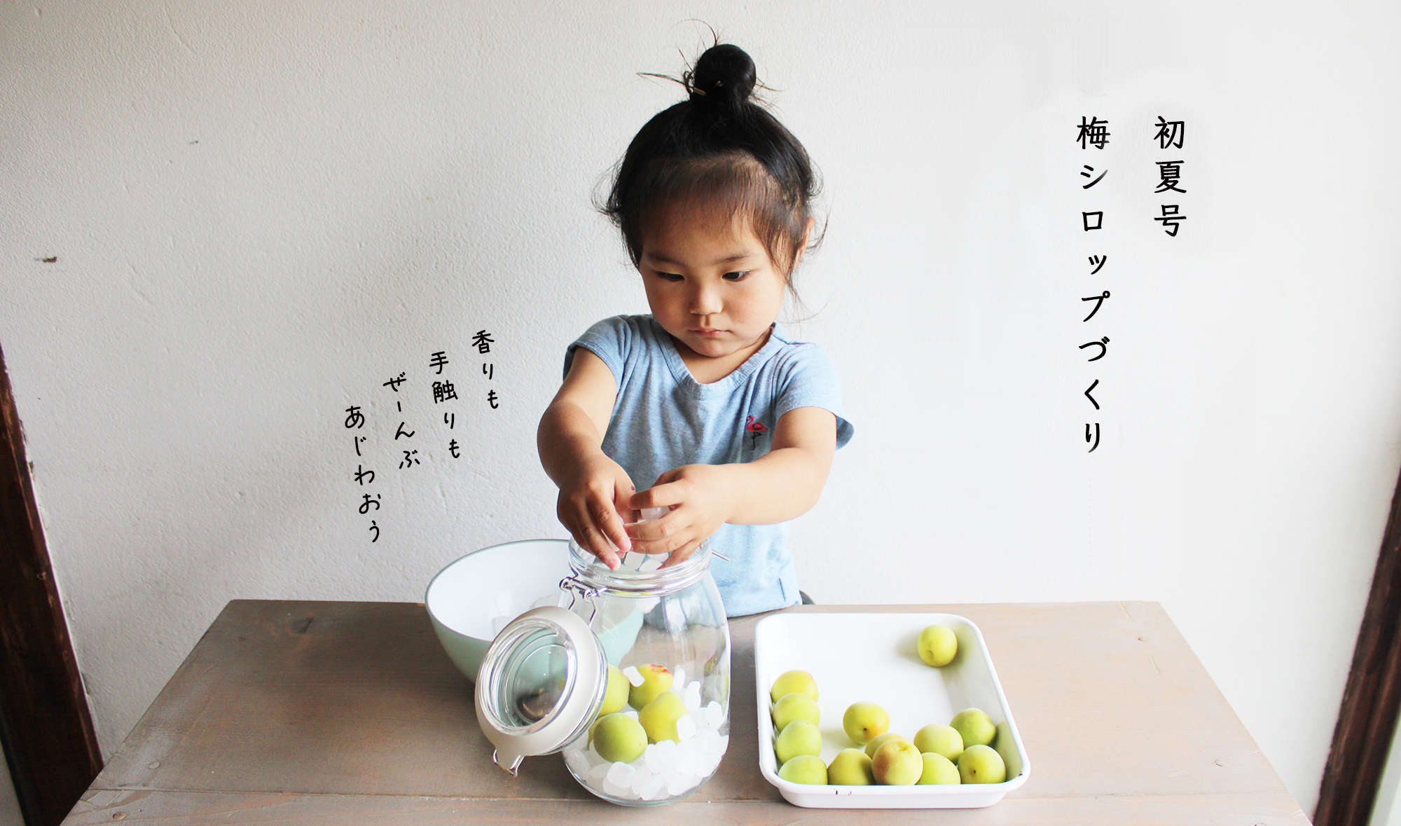 湘南たべまな便 6月号 梅シロップづくり