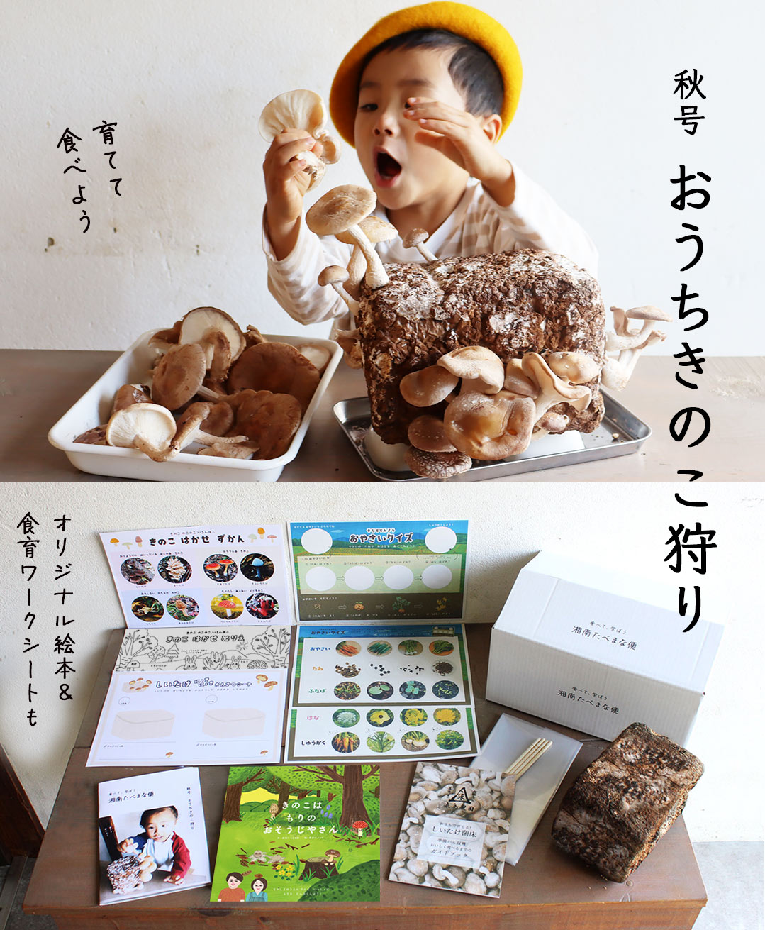 湘南たべまな便　秋号　おうちきのこ狩り 　