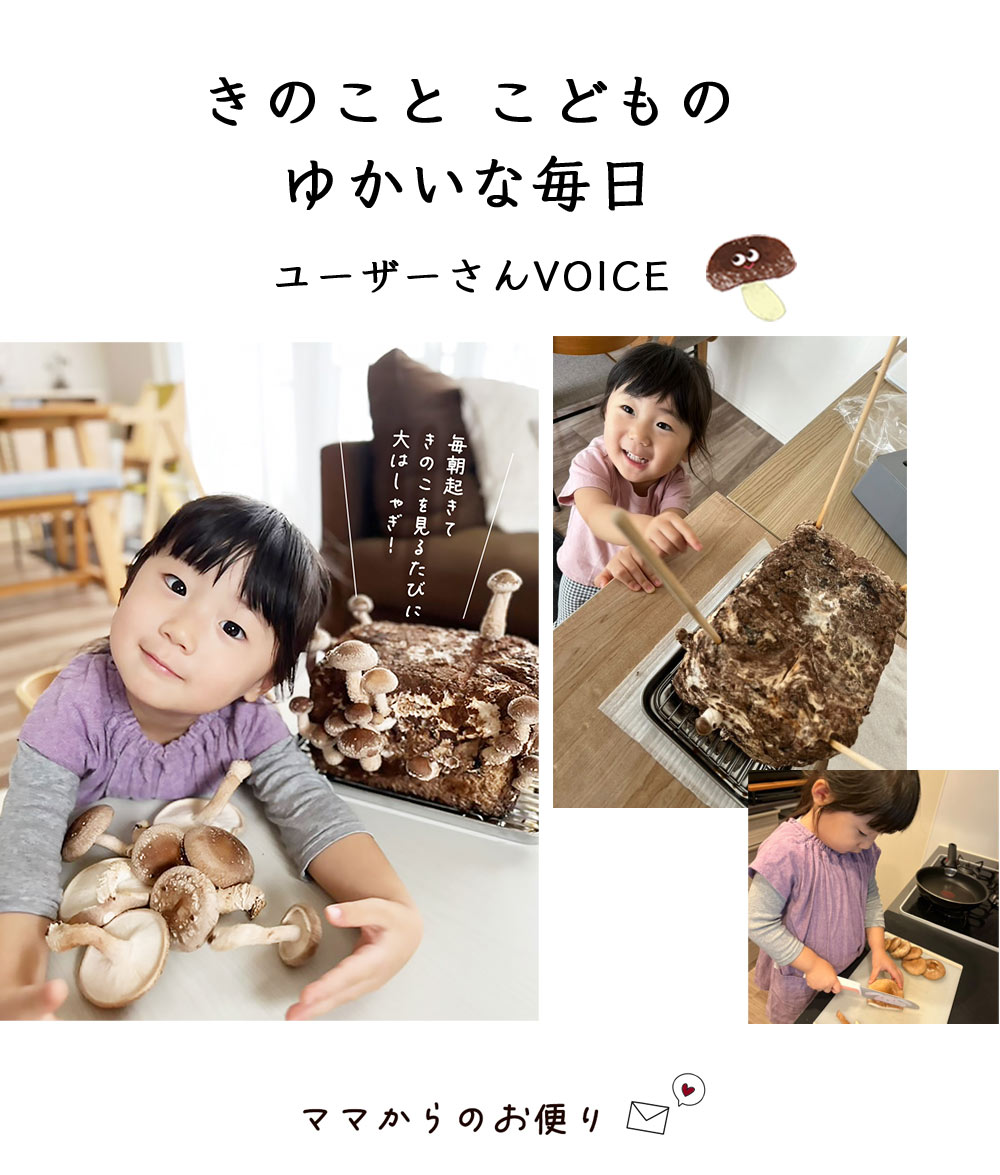 湘南たべまな便　秋号　おうちきのこ狩り 　ユーザーボイス