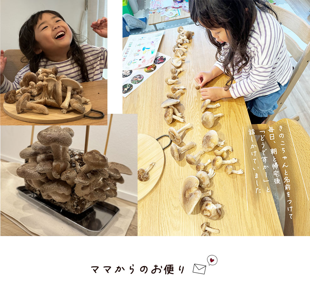 湘南たべまな便　秋号　おうちきのこ狩り 　ユーザーボイス