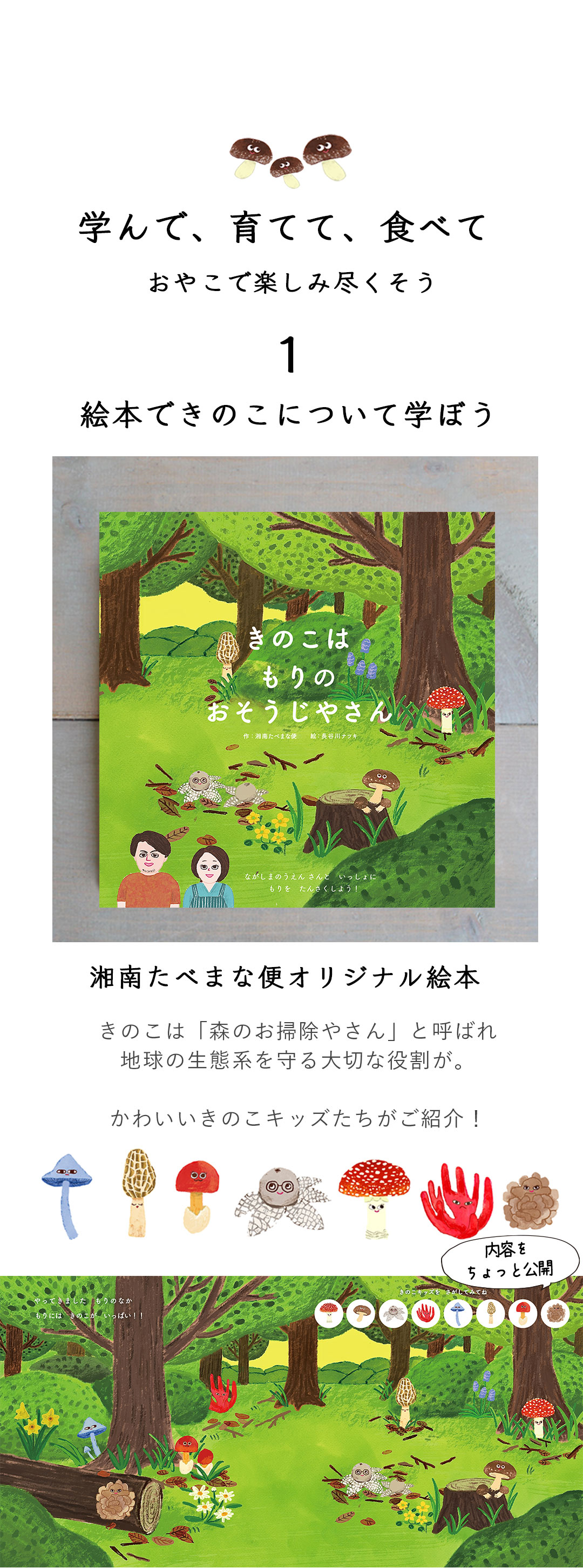 湘南たべまな便　秋号　おうちきのこ狩り 　教材