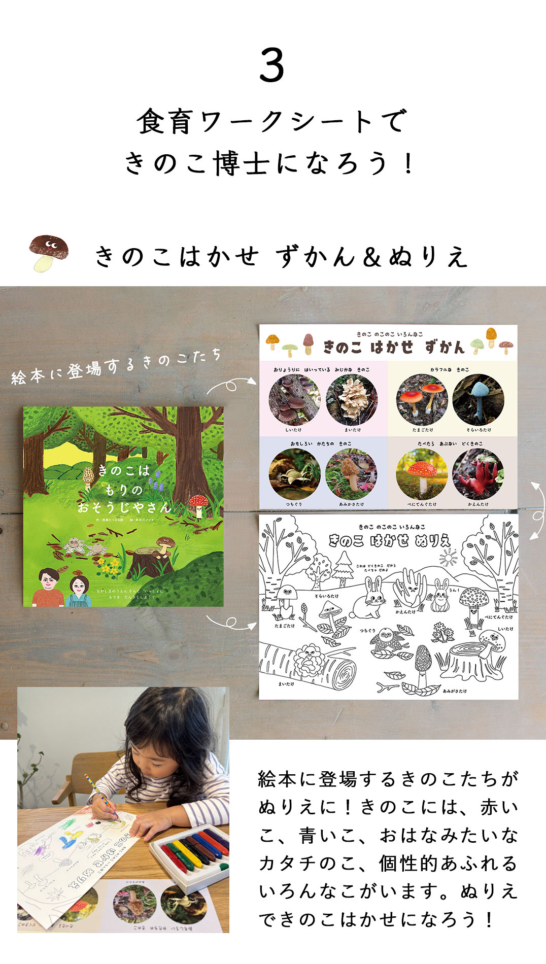 湘南たべまな便　秋号　おうちきのこ狩り 　教材