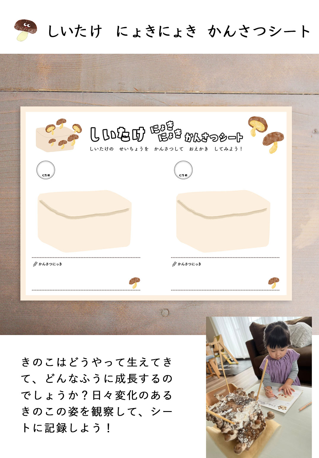 湘南たべまな便　秋号　おうちきのこ狩り 　教材