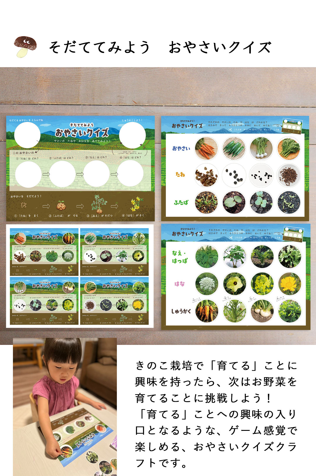 湘南たべまな便　秋号　おうちきのこ狩り 　教材