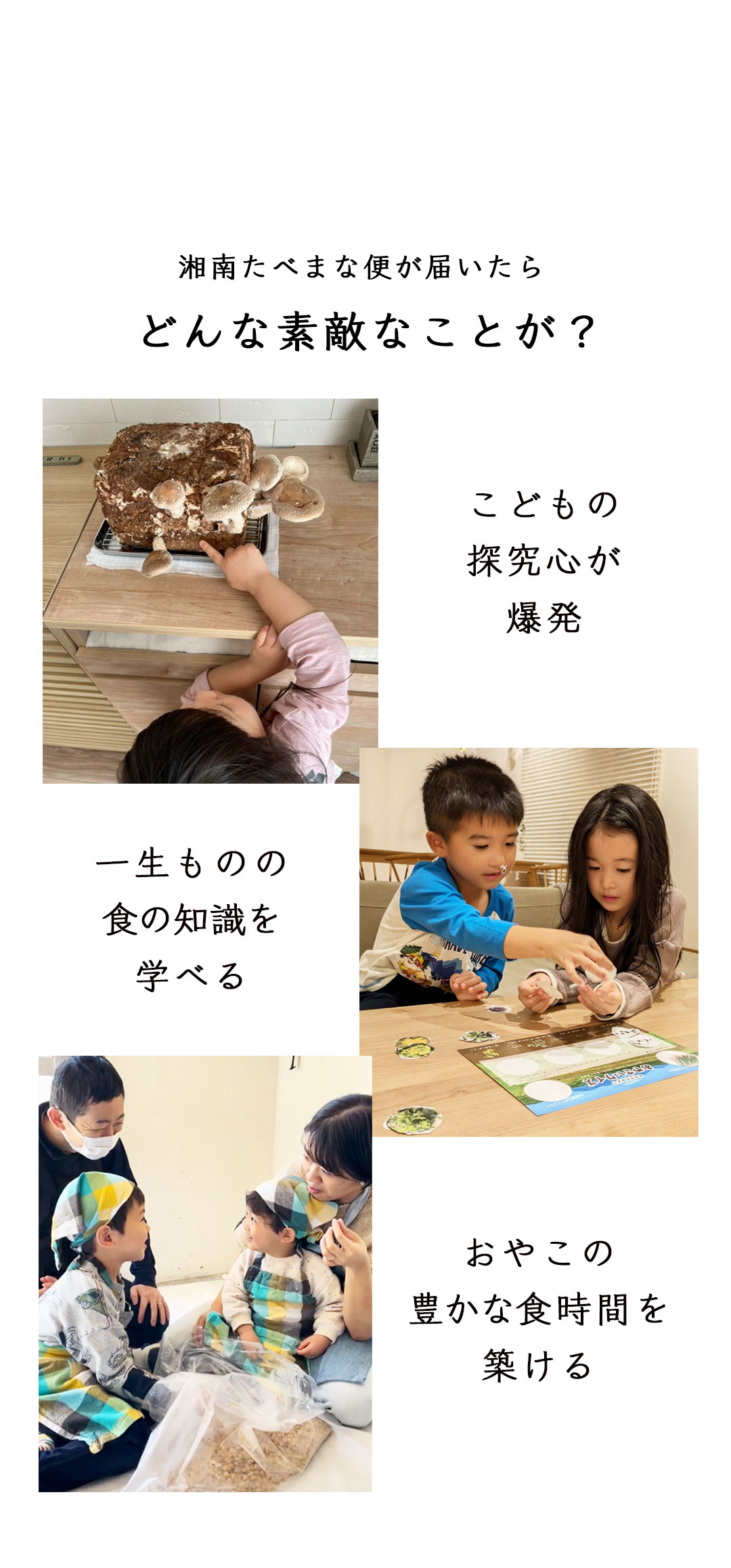 湘南たべまな便　メリット