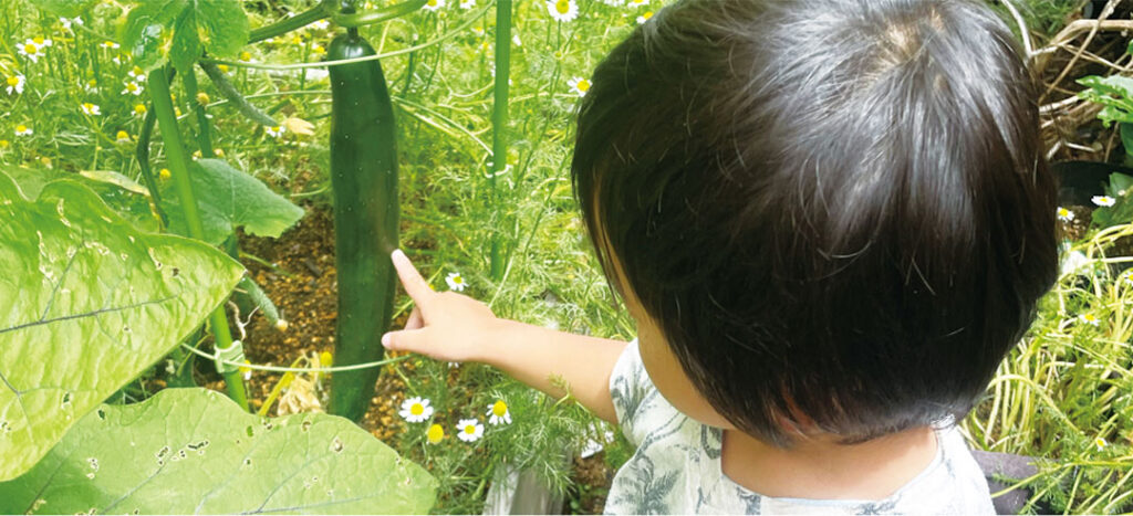 湘南たべまな便　開発者の想い