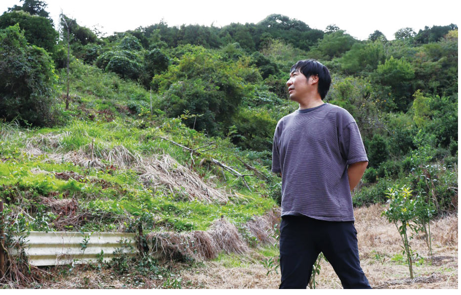 湘南たべまな便 生産者さんインタビュー でこぼこファーム