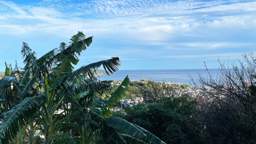 湘南たべまな便 生産者さんインタビュー でこぼこファーム