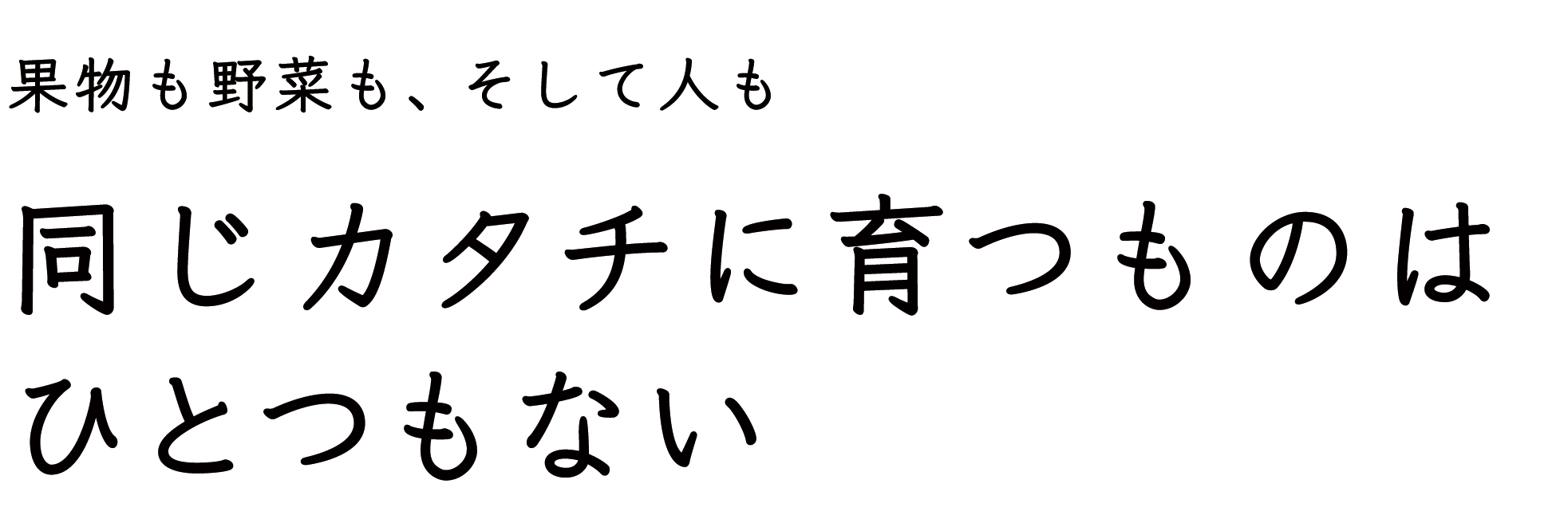 湘南たべまな便 生産者さんインタビュー でこぼこファーム