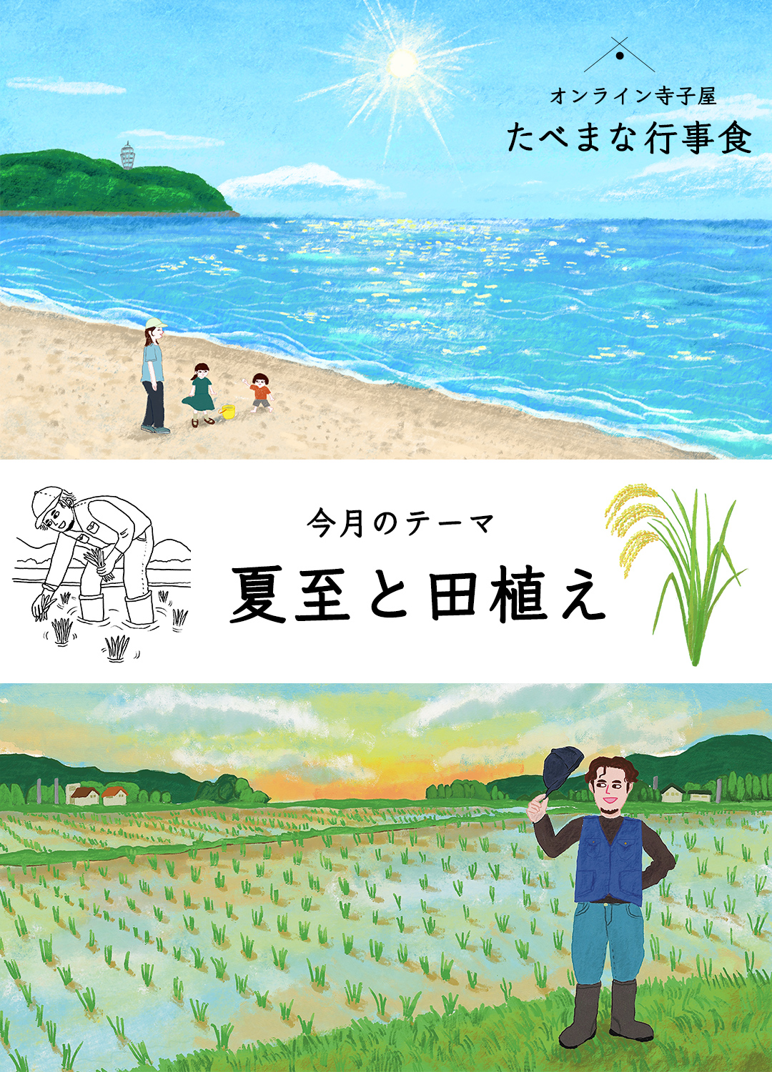 たべまな行事食6月MV『夏至と田植え』