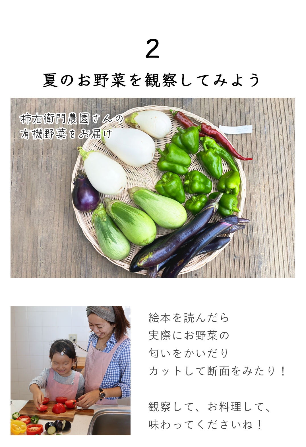 湘南たべまな便　夏休み号