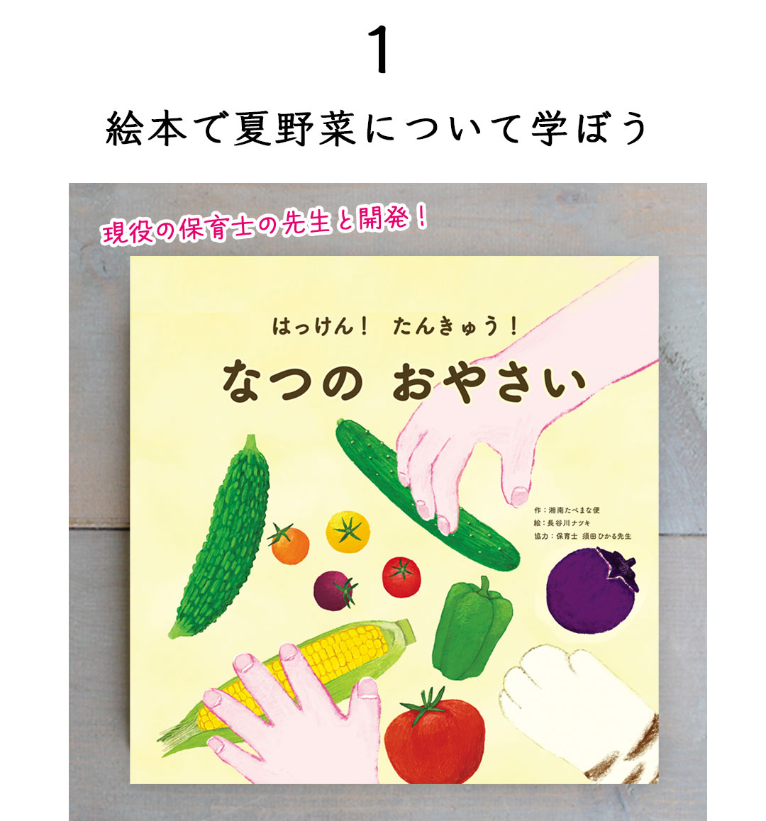 湘南たべまな便　夏休み号