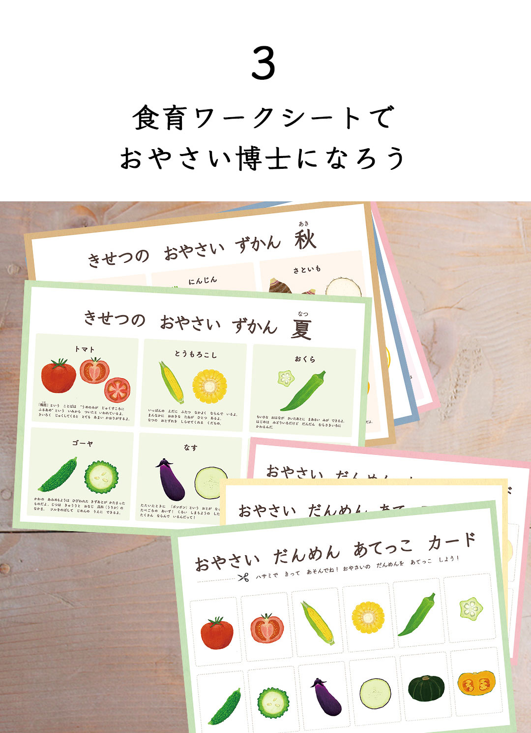 湘南たべまな便　夏休み号