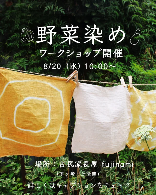 初夏号 かしわもちづくり｜湘南たべまな便｜食べて、学ぼう