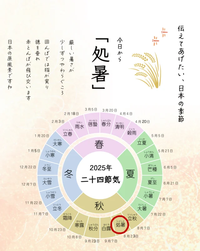 かしわもちページ 立夏号 かしわもちづくり 教材詳細｜湘南たべまな便｜食べて、学ぼう