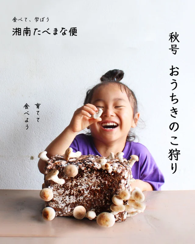 初夏号 かしわもちづくり｜湘南たべまな便｜食べて、学ぼう