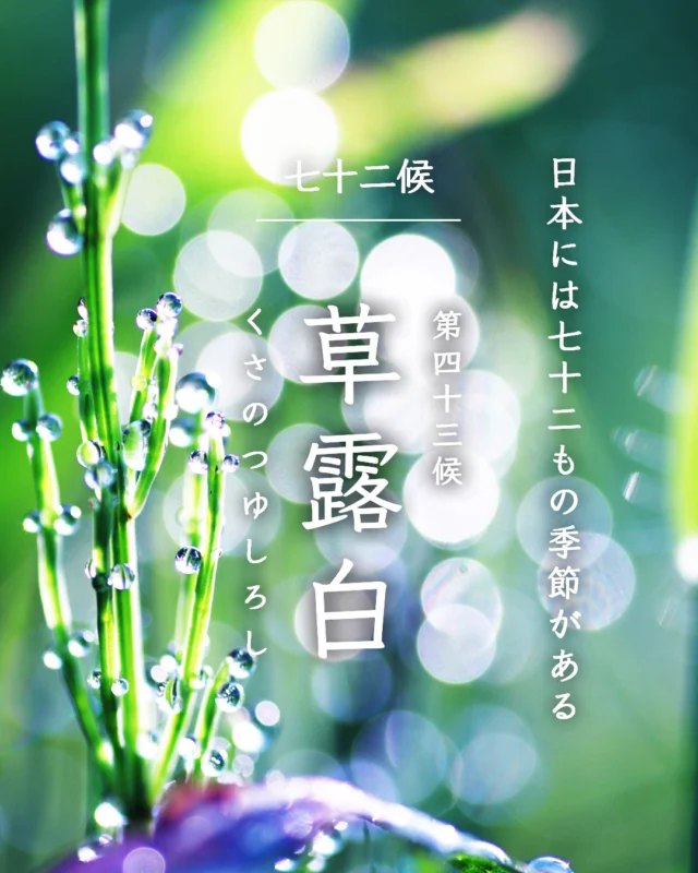 かしわもちページ 250px-Kashiwa-mochi_001.jpg