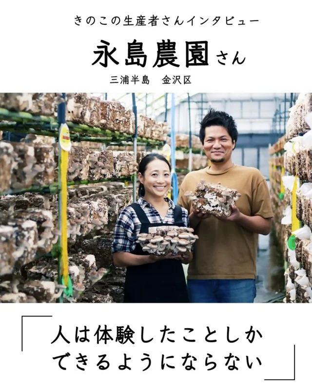 かしわもちページ 71jYfnSxqgL._UF350,350_QL50_.jpg