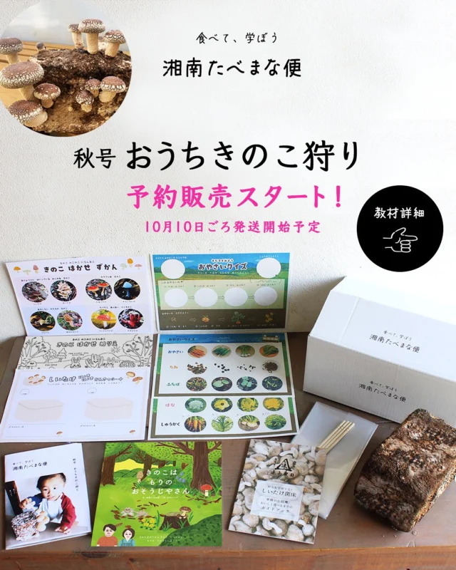 初夏号 かしわもちづくり｜湘南たべまな便｜食べて、学ぼう